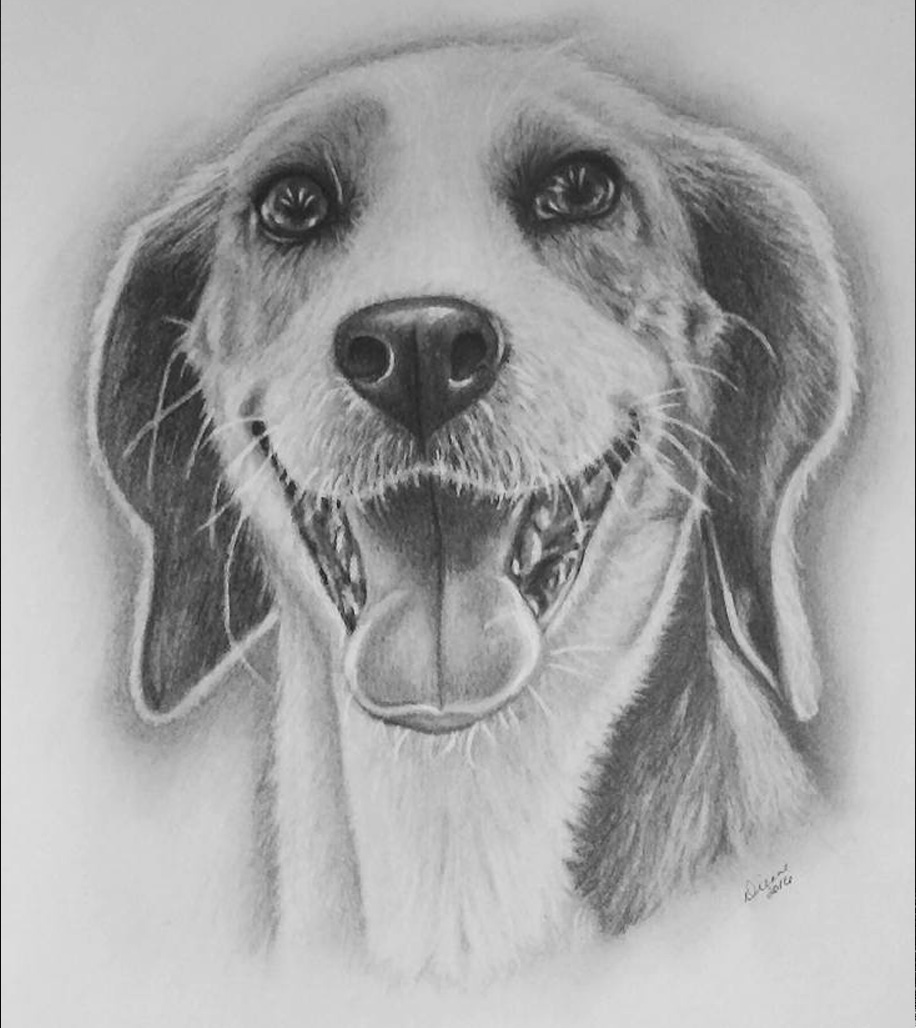 Dog Pencil Portrait 4