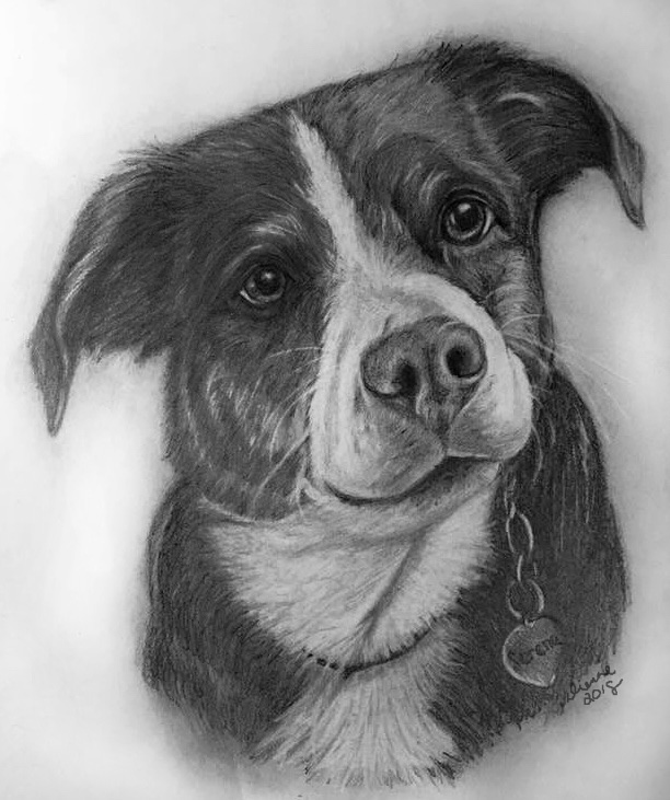 Pencil Dog Portrait 10