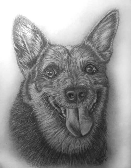 Pencil Dog Portrait 9
