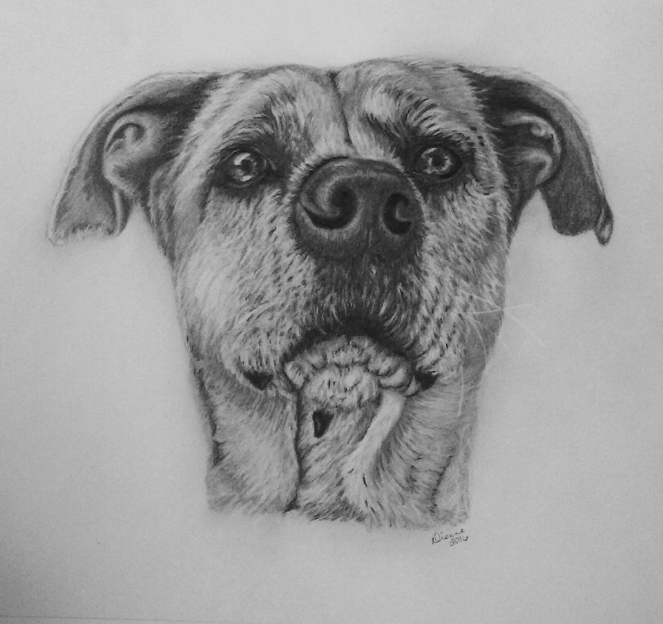 Pencil Dog Portrait 6