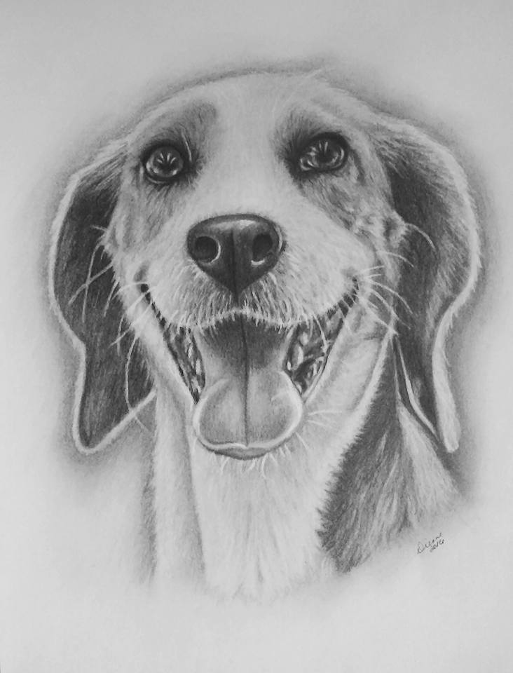 Pencil Dog Portrait 1