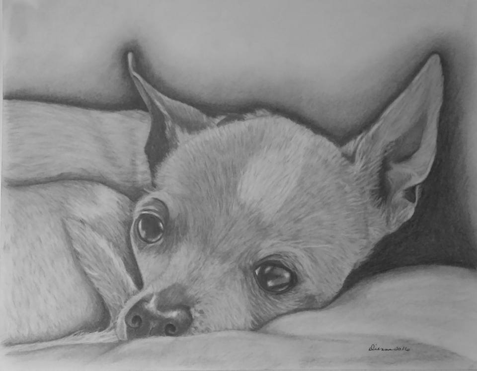 Pencil Puppy Portrait 3