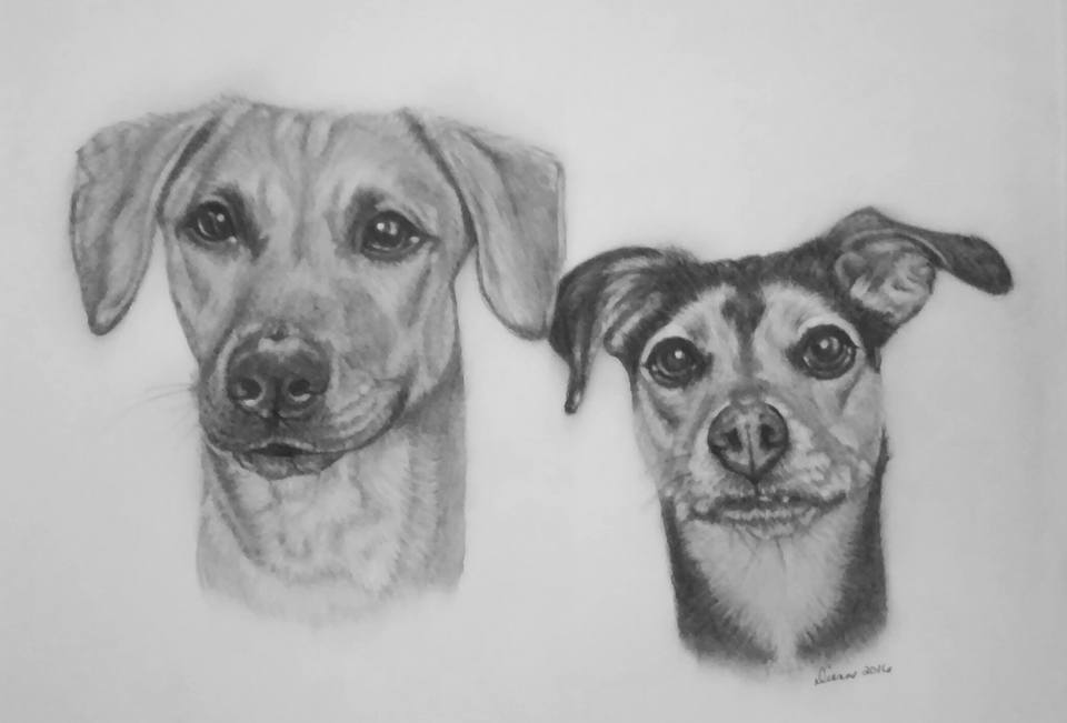 Pencil Puppy Portrait 2